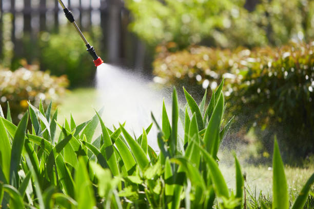 Tamper-Resistant Bait Stations for Rodents in Wood-Ridge