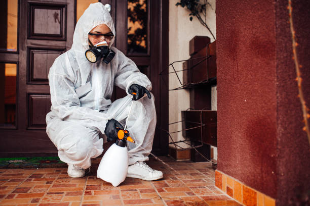 Attic and Crawl Space Rodent Treatment in Wood-Ridge