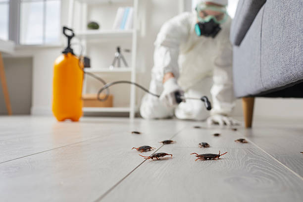 Commercial Rodent Management in Wood-Ridge